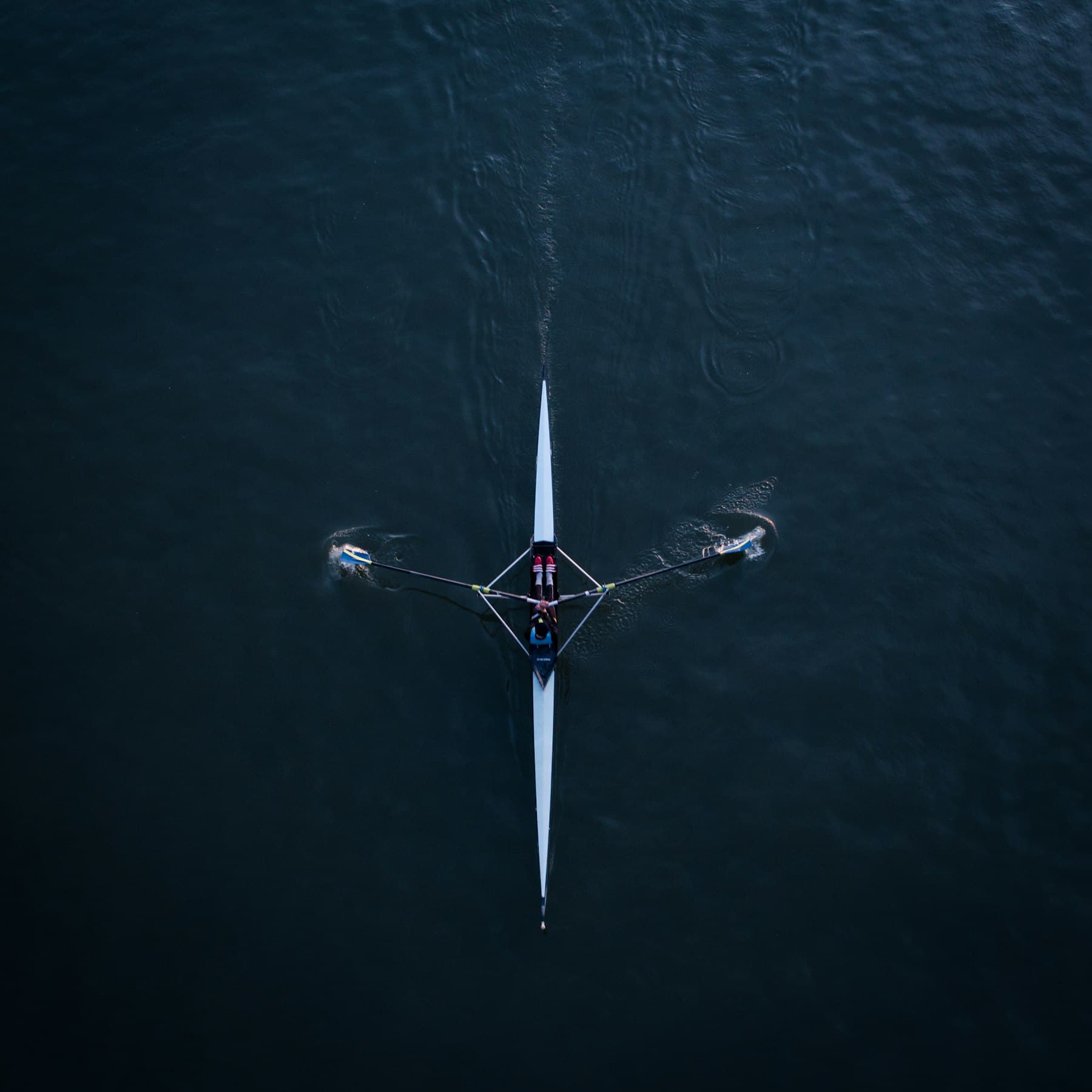 Seen from above, a single rower pulls a long white boat across dark water